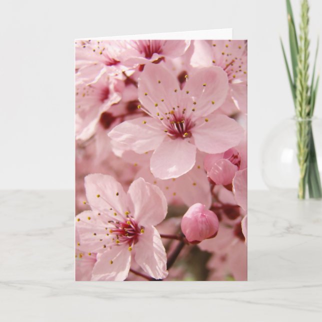 Cartão Spring Pink Tree Flower Blossoms Greeting Card (Frente)