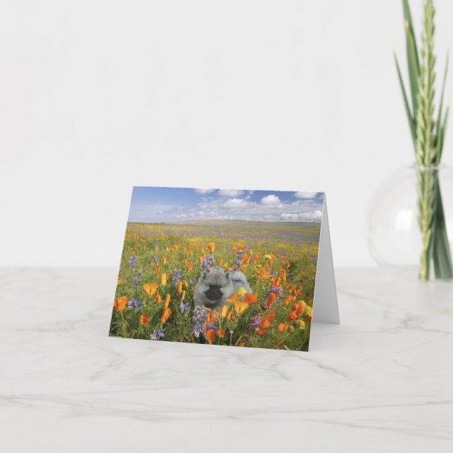 Cartão Spring Puppy Notecard (Frente)