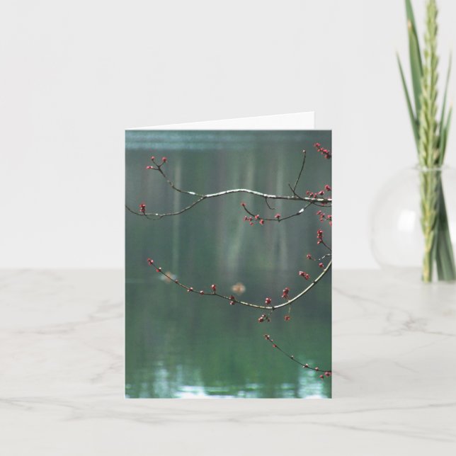 Cartão Spring Red Buds Reflections Note Card (Frente)