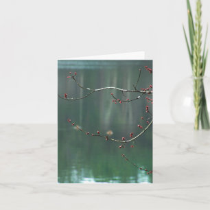 Cartão Spring Red Buds Reflections Note Card