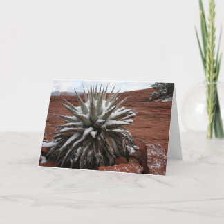 Cartão Spring Snow in Sedona