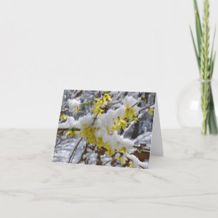 Cartão Spring Snow Notecard