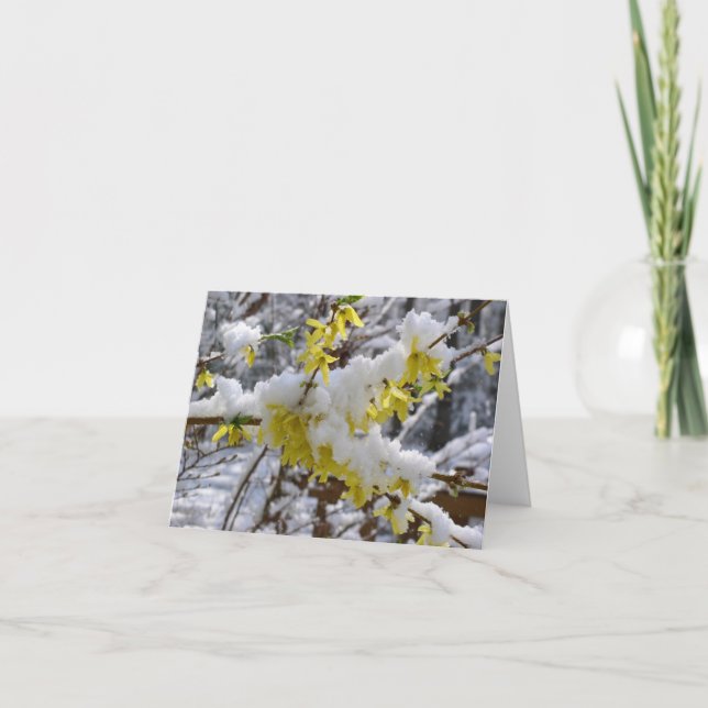 Cartão Spring Snow Notecard (Frente)