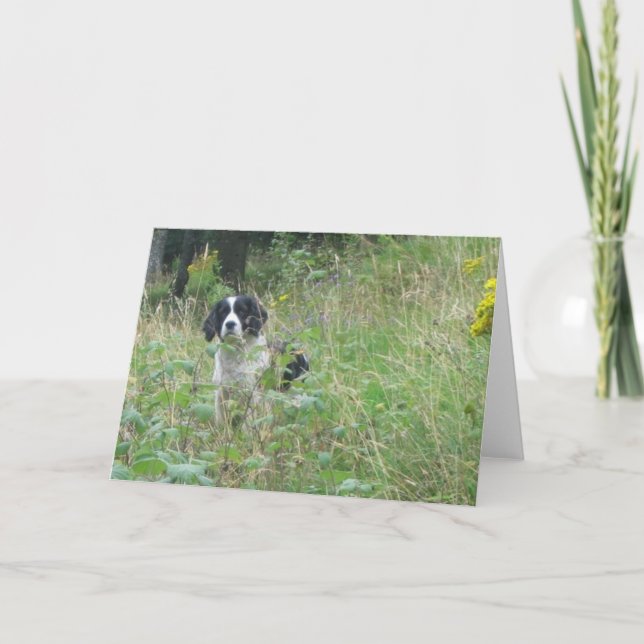 Cartão Spring spaniel, greeting card (Frente)