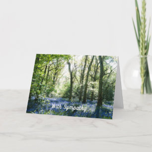 Cartão Spring Sunbeams Sympathy Card