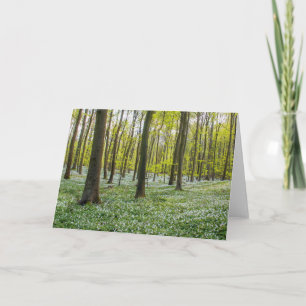 Cartão Spring to Life