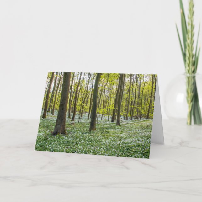 Cartão Spring to Life (Frente)