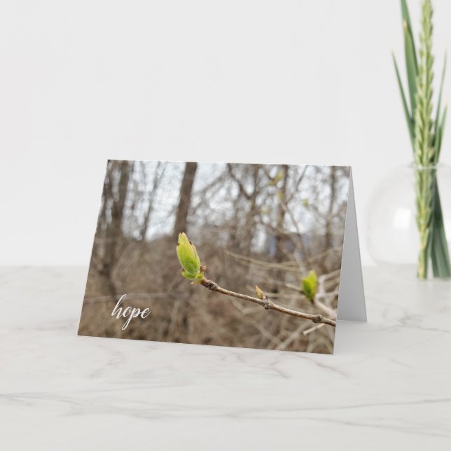 Cartão spring tree bud for Hope thinking of you (Frente)