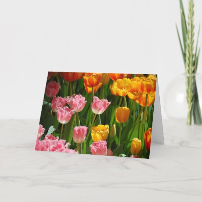 Cartão Spring Tulips Card (Frente)