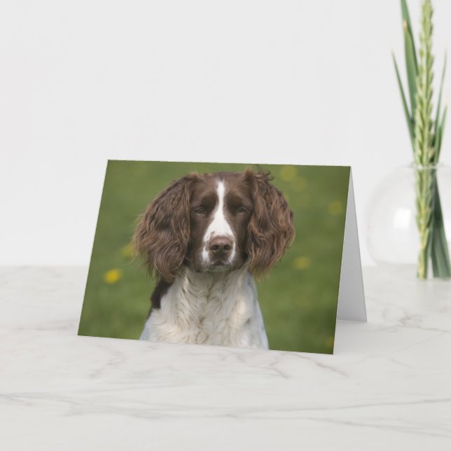 Cartão Springer alerta (Frente)