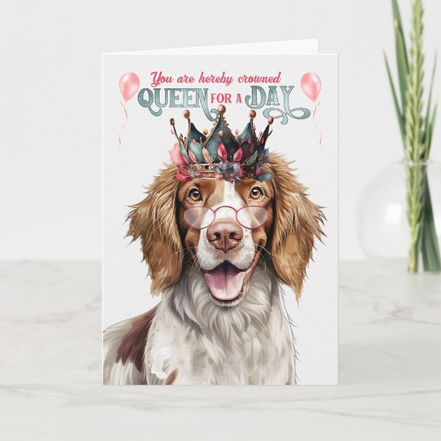 Cartão Springer Spaniel Dog Queen Day Engraçado Aniversár (Frente)