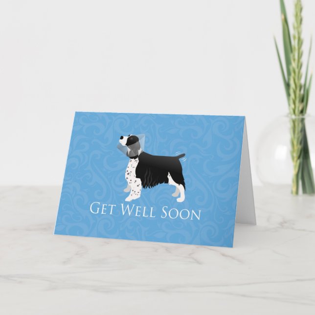 Cartão Springer Spaniel Get Well Soon Design (Frente)