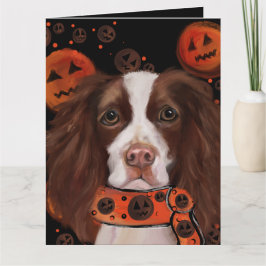 Cartão Springer Spaniel Inglês