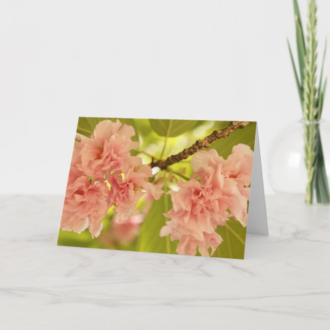 Cartão Springtime (Frente)