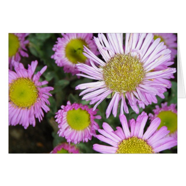 Cartão "Springtime chez moi" (Frente horizontal)