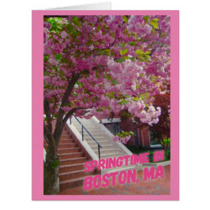 Cartão Springtime em Boston, MÃES