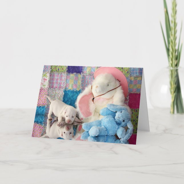 Cartão Springtime Reflection (Frente)