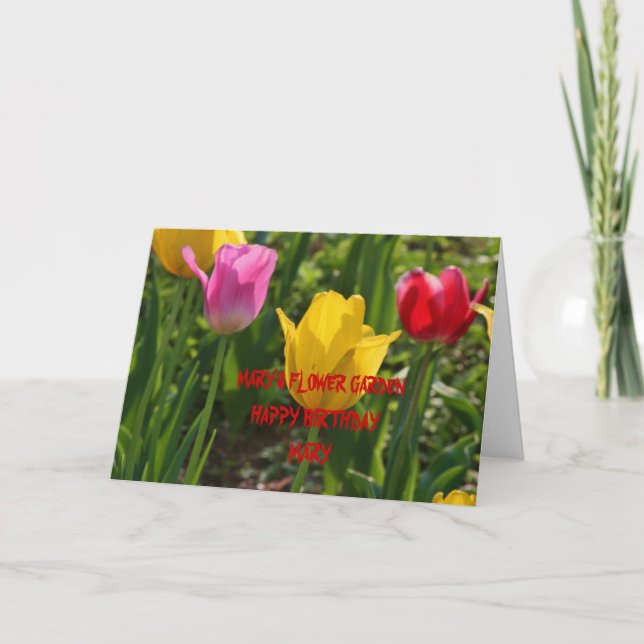 Cartão SPRINGTIME  TULIP'S BIRTHDAY Card (Frente)