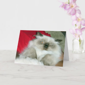 Cartão Squcil Himmy