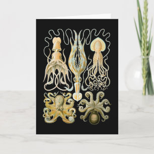 Cartão Squid & Octopus