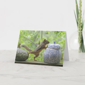 Cartão Squirrel and Cookie Jar