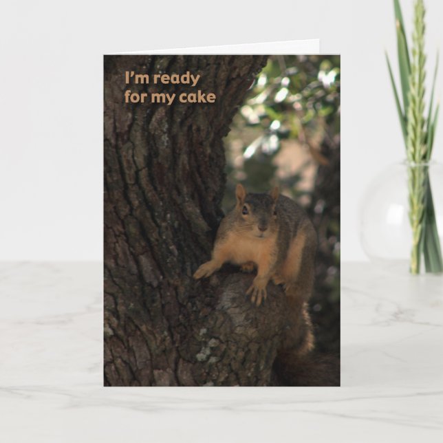 Cartão squirrel birthday card (Frente)