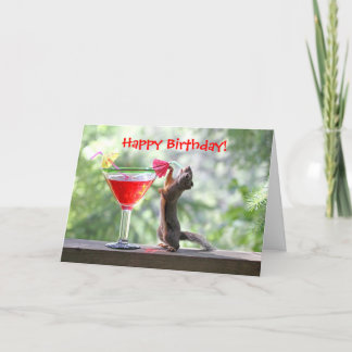 Cartão Squirrel Drinking a Cocktail at Happy Hour