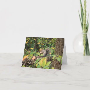 Cartão Squirrel in Autumn Notecard