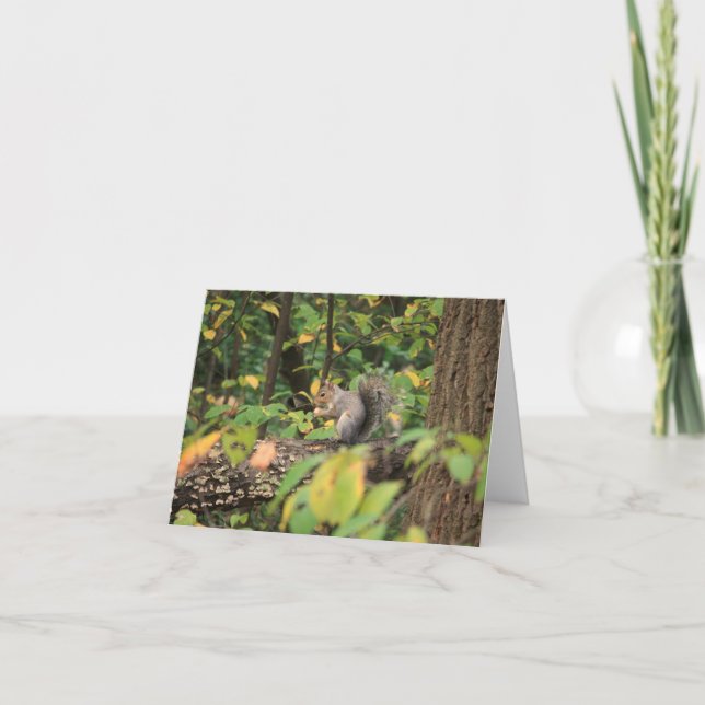Cartão Squirrel in Autumn Notecard (Frente)