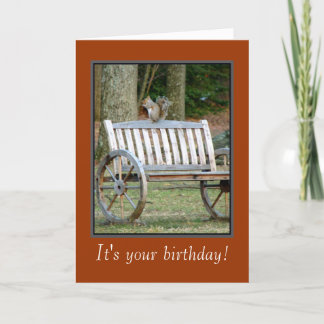Cartão Squirrel n Nut' Birthday Card