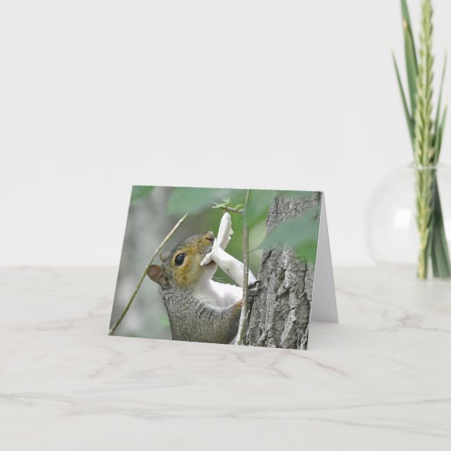 Cartão Squirrel Notecard (Frente)