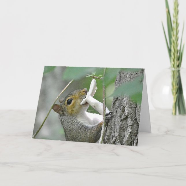 Cartão Squirrel Notecard (Frente)