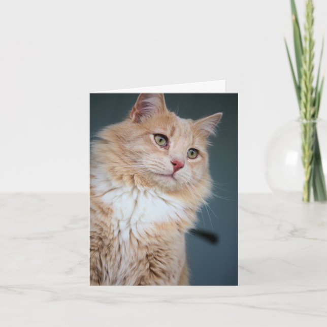 Cartão Sr., bonito (Frente)