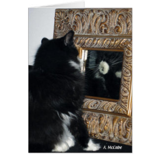 Cartão Sr. Bootee, através do espelho