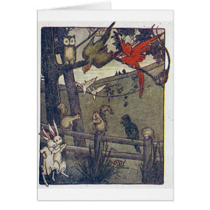 Cartão Sr. Coruja Doação Um Partido