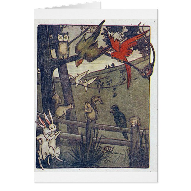 Cartão Sr. Coruja Doação Um Partido (Frente)