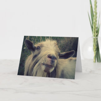 Cartão Sr. Gotye - Vazio