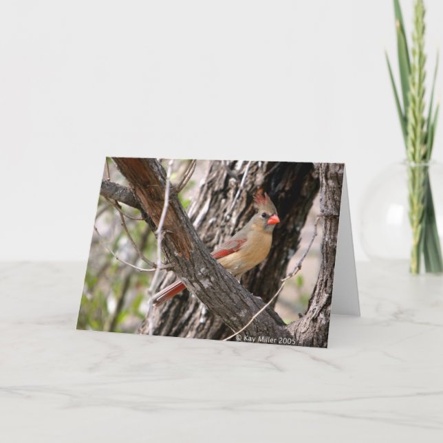 Cartão Sra. Cardinal-2004 (Frente)