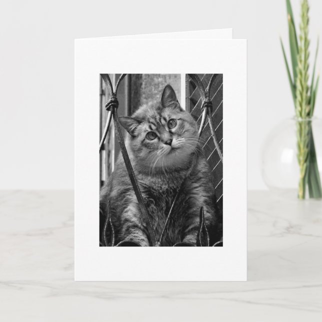 Cartão Srta. (Frente)