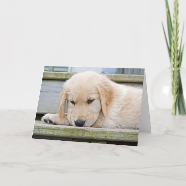 Cartão Srta. (Frente)