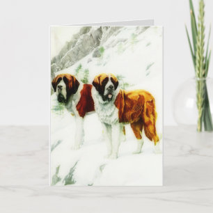 Cartão St Bernard áspero e liso - pintura