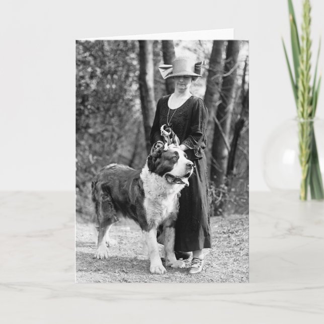 Cartão St Bernard & Boston Terrier, 1925 (Frente)
