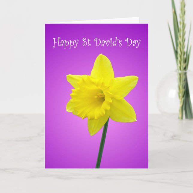 Cartão St Davids Day Welsh Daffodil (Frente)