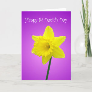 Cartão St Davids Day Welsh Daffodil