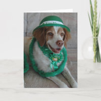 ST. PATRICKS DAY BRITTANY - Customized