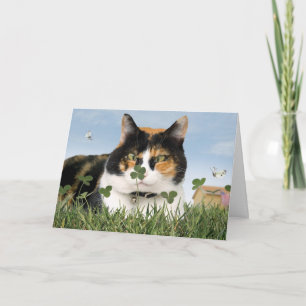 Cartão St. Patrick's Day Cat Card Funny Cute Best