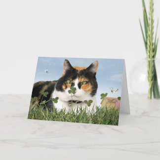 Cartão St. Patrick's Day Cat Card Funny Cute Best
