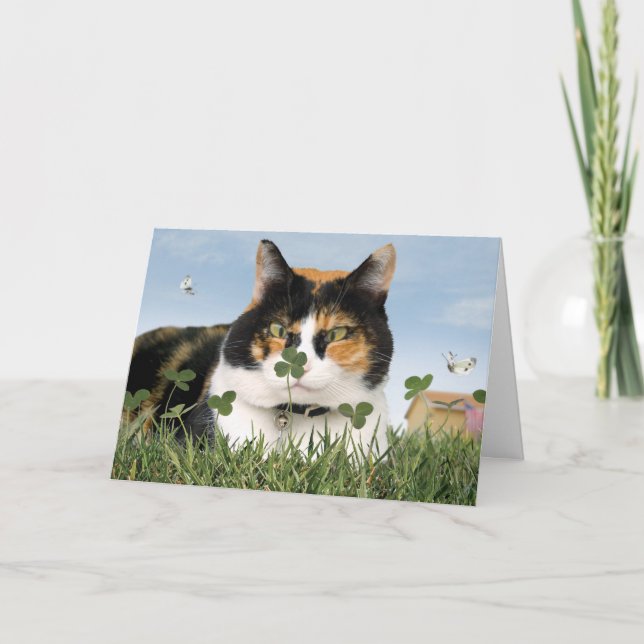 Cartão St. Patrick's Day Cat Card Funny Cute Best (Frente)