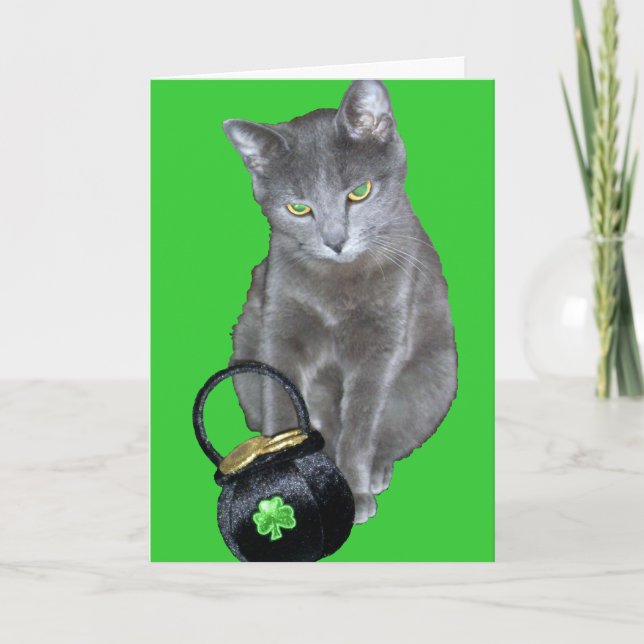 Cartão St. Patrick's Day kitten card (Frente)