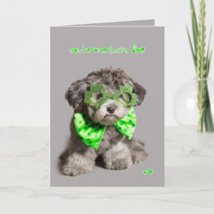 Cartão St Patricks Day Lucky Dog